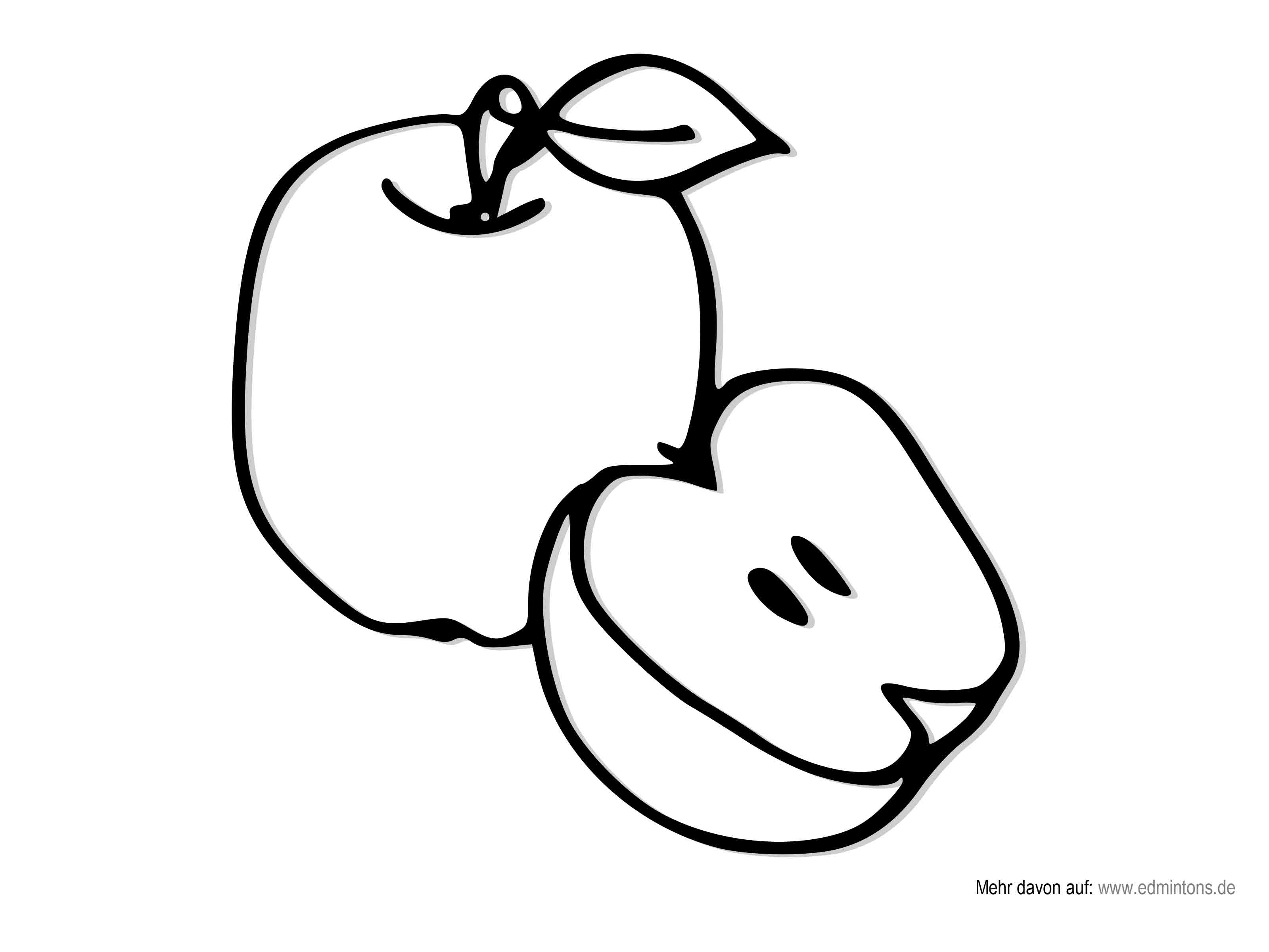 Edmintons Zeichnungen