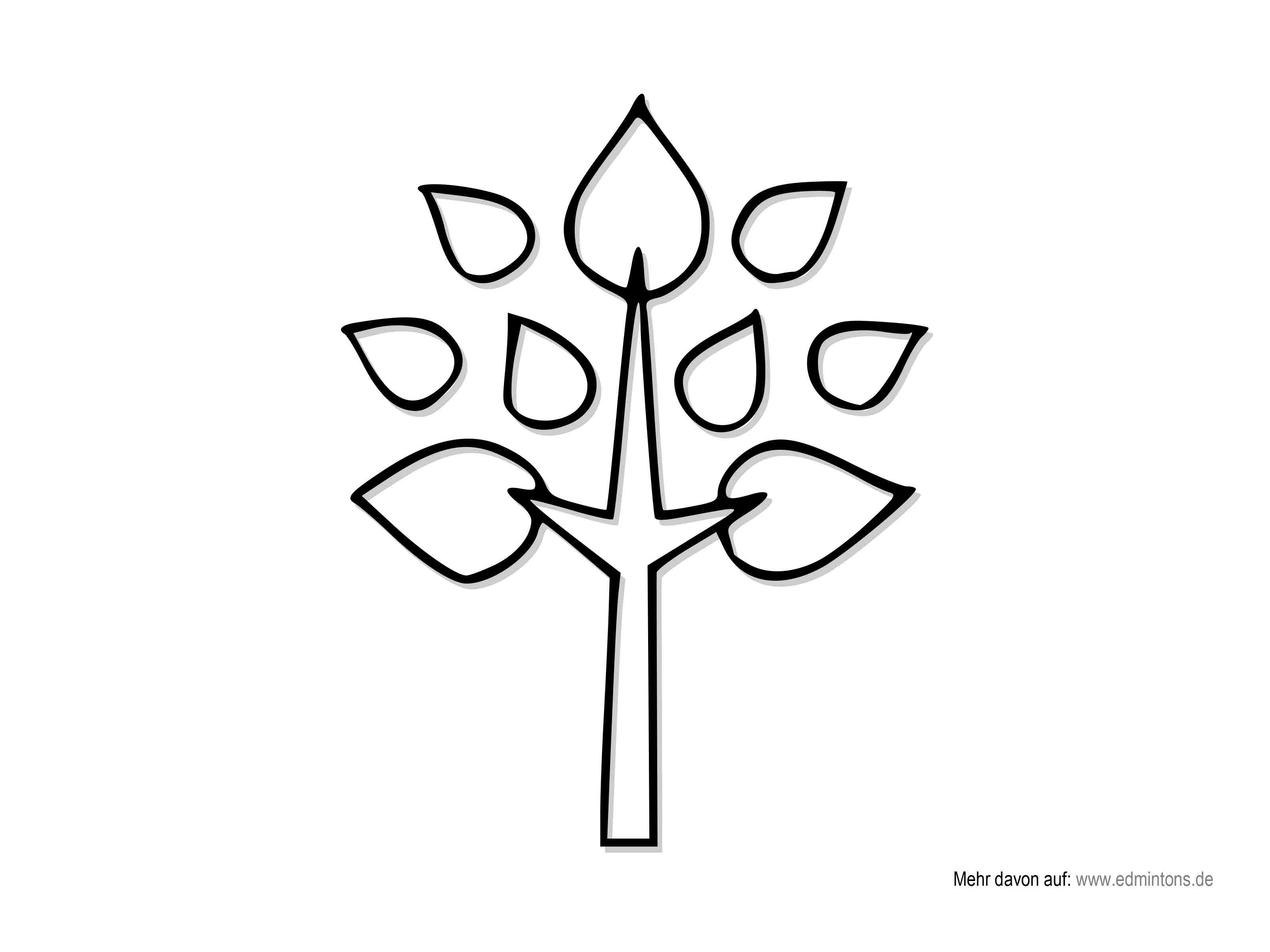 Edmintons Zeichnungen